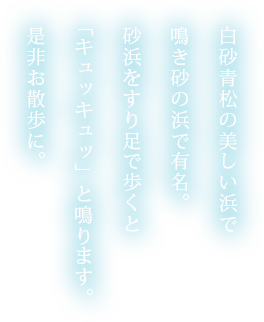 白砂青松の美しい浜で鳴き砂の浜で有名。砂浜をすり足で歩くと「キュッキュッ」と鳴ります。是非お散歩に。